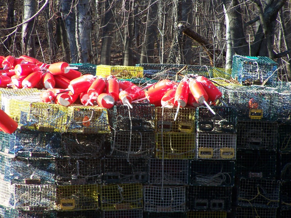 Maine Lobster Traps