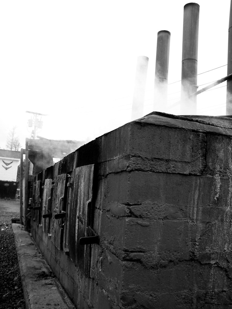 Maine Lobster Steamers